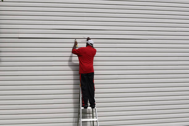 Affordable Siding Repair and Maintenance Services in Brea, CA