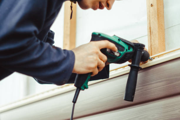 Best Custom Siding Design  in Brea, CA